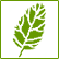 HERBAL TREATMETN CENTER LOGO